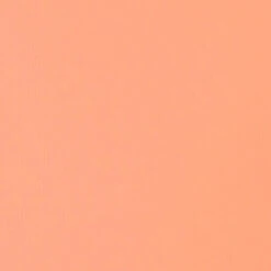 Professional Soft Body Acrylic - Light Pink - Universal